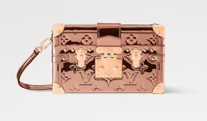 Authentic New) Louis Vuitton LV  Ski Petite Malle -M26217 New Release - Picture 1 of 6