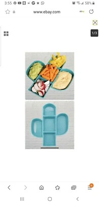 Chic and Tonic SUNRISE CACTUS SERVING Platter NIB - Image 1 of 2