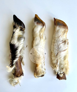 3X Hairy Lamb Legs Feet Trotters Healthy 100% Natural Dog Chew Long Lasting Bone