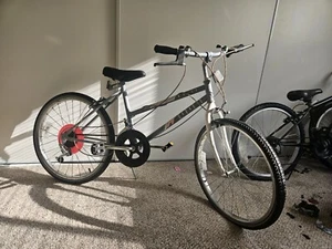 Grey Offroad/Onroad BMX Bike - Picture 1 of 14