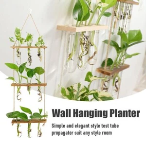 Wall Hanging Hydroponic Plant Glass Vase Bottle Frame Shelf Stand Home Decor - Picture 1 of 18