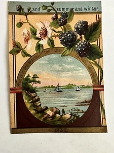 Victorian Trade Card 1883 Gardening Black Raspberry B3 - Bild 1 von 6