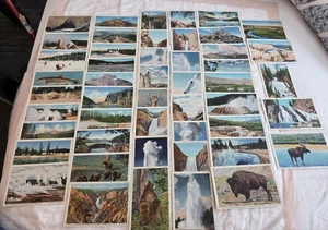 um 1900 Yellowstone N.P.  Haynes Postkarten Lot (49) in OVP, postfrisch, Seide  - Bild 1 von 24