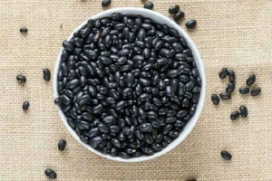 Frijol Negro de Tolosa - Alubias Negras de Tolosa - 10+ Semillas - H 125 - Imagen 1 de 1