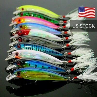 Großmaul Barsch Angelköder Wobbler Elritze 10er Pack Lot Crankbait Tackle Bait  - Bild 1 von 4