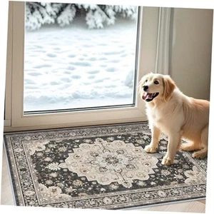 Washable 2x3 Entryway Area Rug: Vintage Non-Slip Backing Rugs for Kitchen - Picture 1 of 7