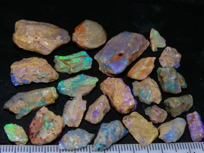 Bonitos especímenes de ópalo fósil áspero 100 quilates Lightning Ridge verde/azul/rosa 1 carcasa Foto 1 de 4