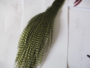 metz Premium Cock Cape Quarter Olive Grizzle Hackle Federn Fliegenbindematerialien - Bild 1 von 1