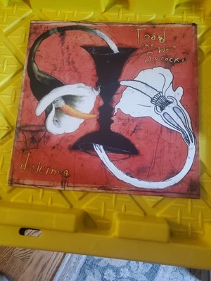 Toad The Wet Sprocket ‘Dulcinea’ 2024 Ltd Ed Remastered Black Vinyl.  - Image 1 of 4