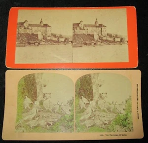 2 ANTIQUE STEREOSCOPE CARDS CHICAGO ILL & QUAIL Kilburn Brothers 1890 - Picture 1 of 2