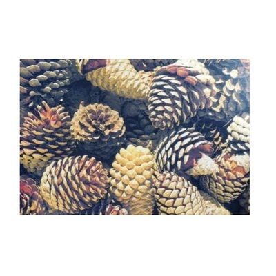 Waschbare Fußmatte - Tannenzapfen ca 50x75 cm Küchenmatte braun - Bild 1 von 2