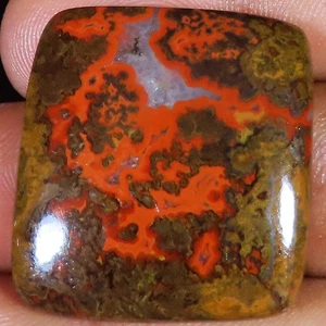 48.55 CT Natural Morocco SEAM AGATE Cushion Cabochon Gemstone 26x29x5 mm WR282 - Picture 1 of 7