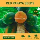 100+ Red Papaya Seeds Papaya Fruit seeds for Plants