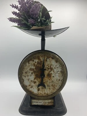 ANTIQUE BLACK KITCHEN Scale AMERICAN FAMILY SCALE 25lb AMERICAN CUTLERY**RUSTY** - Image 1 of 4