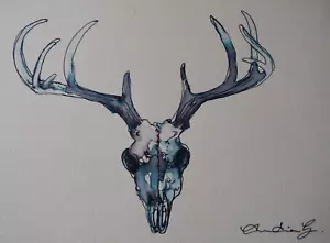 Original small pen & ink wash drawing of a deer skull with antlers - Picture 1 of 4