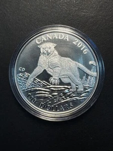 COLLECTABLE 2016 CANADA 100 Dollar Cougar SILVER Coin - Picture 1 of 2
