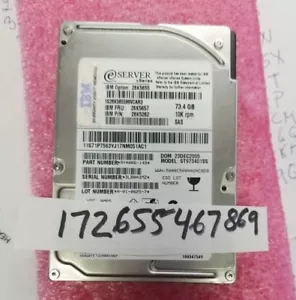 26K5657 73GB 10K RPM 2.5" SAS Server Hard Drive 26K5262 9Y4066-149 ST973401SS - Picture 1 of 1