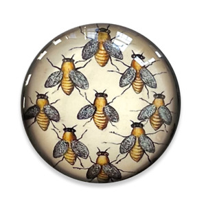 Vintage Bees Round Glass Cameo Cabochon Jewelry Supplies Art Insects Victorian