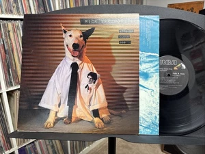 RICK SPRINGFIELD Working Class Dog  LP  1981 - Picture 1 of 2