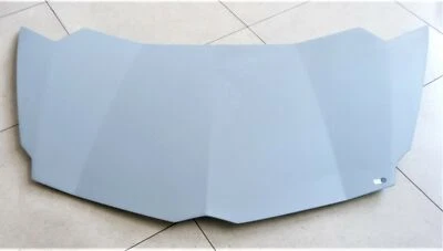 Cubierta capó delantero Lamborghini Aventador LP770 SVJ cupé S 470823021E OEM Foto 1 de 4