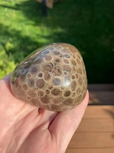 9.6oz Beautiful Polished Petoskey Stone Fossil Lake Michigan Coral Dark Eye - Picture 1 of 4