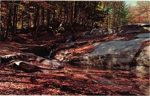 Vintage The Ledges at the Old Jelly Mill West Dummerston Vermont Postcard - Picture 1 of 2