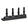 Delphi coil pack
