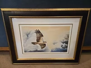 Jim Collins "Osprey In Flight" 29/125 Hors d'Commerce Proof, Signed/Numbered HC - Picture 1 of 14