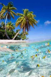 Tropical Sea Beach Scenery Silk Print New Wall Art Home Decor - POSTER - Picture 1 of 3