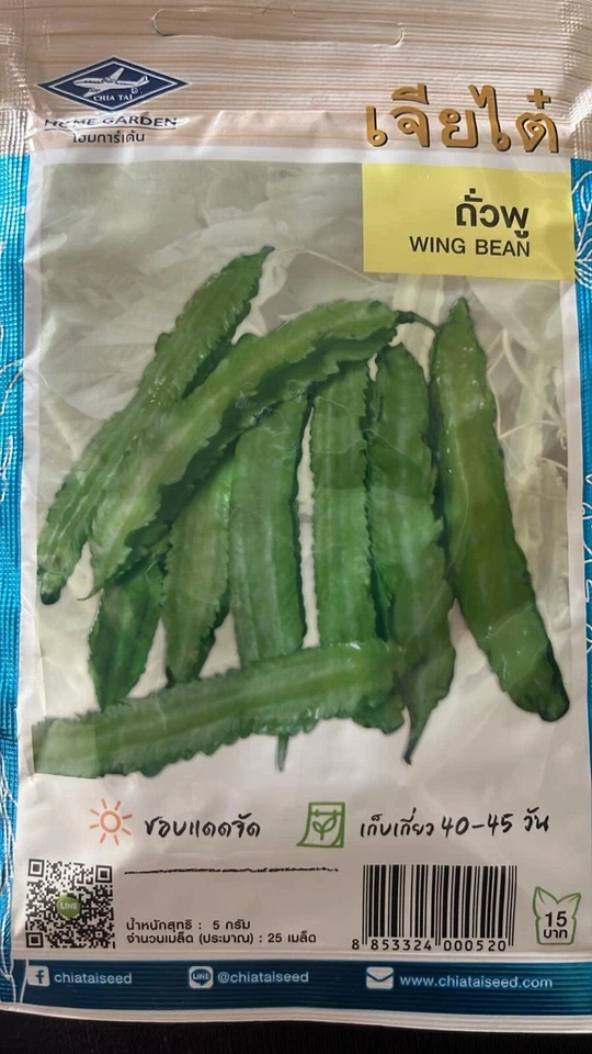 Thai Green Winged Bean Seeds - Image 1 of 1