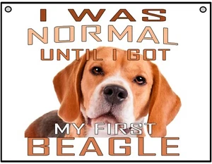 I Was Normal Until I Got My First Beagle - Funny-Metal Sign For Indoor/Outdoor - Picture 1 of 1