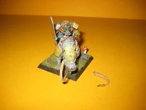 Rackham - Confrontación - Orcos de Bran-O-Kor - Jinete Brontops - Bien pintado - Imagen 1 de 5