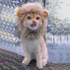 Cat Lion Clothes Hair Funny Pet Mane Wig Headgear Hat Dress Costume Up# R5W1