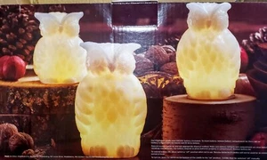 3 Wax Led Owl Shaped Candles - Battery Operated - Picture 1 of 3