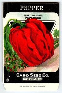 Sweet Mountain Pepper 1920's Card Seed Co Packet EMPTY Vintage Fredonia New York - Picture 1 of 2