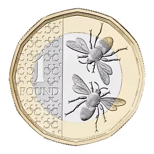 2024 £1 BIENEN Münze Stempelglanz BUNC SUPER. VAKUUMVERSIEGELT RAR - Bild 1 von 15