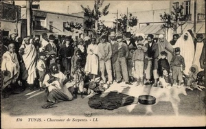 Ak Tunis Tunesien, Charmeur de Serpents - 2923406 - Bild 1 von 2