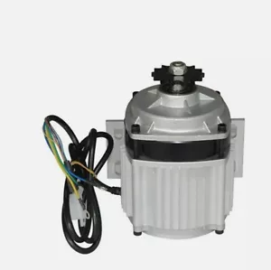 Hochleistungs Elektrischer Dreiradmotor DC 24V 500w bürstenloser Permanentmagnetmotor - Bild 1 von 3