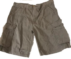 Pantalones Cortos Carhartt Force Para Hombres 40 Lona Carga Calce Relajado Gris Tostado Desgarro ¡EXCELENTE! - Imagen 1 de 12