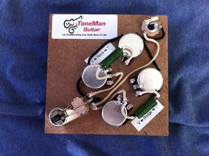 The Blues Prewired Wiring Harness Kit For Gibson Epiphone SG PIO Tone Caps - Picture 1 of 7