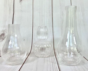 Pottery Barn Monique Lhuillier Glass Bud Vases Set of 3 - Picture 1 of 11