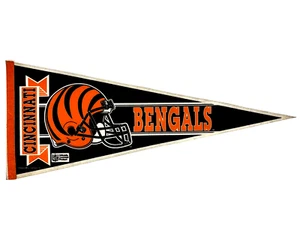 NFL Cincinnati Bengals Vintage 3 Bar Gesichtsmaske Team Logo Wimpel Banner Schild - Bild 1 von 8