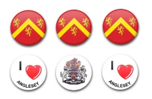 25 MM 1 ZOLL KNOPFABZEICHEN ANGLESEY X6 - Bild 1 von 1