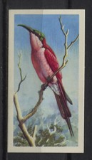 Tropical Birds Collectable Brooke Bond Tea Cards  - Pick up your Card