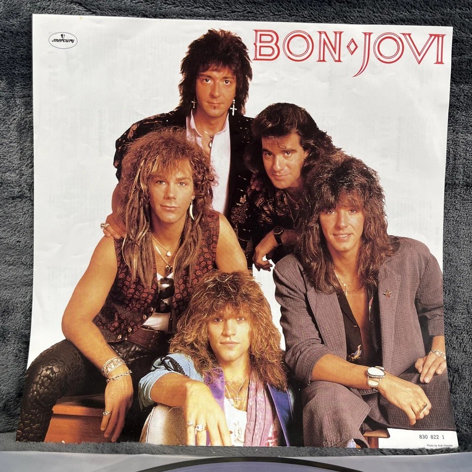 Bon Jovi – Slippery When Wet USA Pressing Limited LP Vinyl Record Pic Disc Rock - Bild 1 von 4
