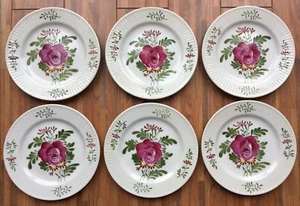 6x August Warnecke Ostfriesische Rose Kuchenteller 16,5cm SEHR GUTER ZUSTAND - Bild 1 von 3