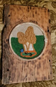 Placa de tabla de madera de colección con escena de hongo con cuentas - Imagen 1 de 4