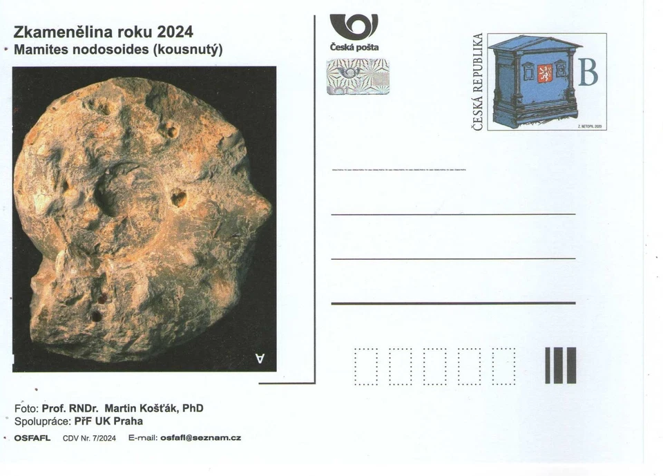 Czech Republic - fossil of year 2024 - Image 1 of 1