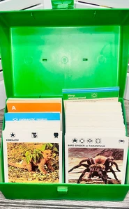 Vintage 70s Illustrated Wildlife Treasury Cards Case Set Of Wild Animal Species - Picture 1 of 3