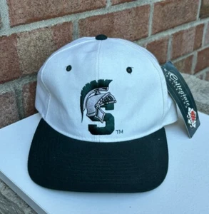 Vintage Michigan State Hat 100% Wool Spartans College MSU New Era PRO Model - Picture 1 of 21